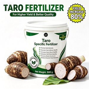 Engrais Spécifique pour <span class=keywords><strong>Taro</strong></span> 500g NPK 18-8-20 Accélère la Croissance des Racines et des Feuilles, Agrandit les Cormes, Améliore la Texture, Augmente de 80% <span class=keywords><strong>le</strong></span> Rendement en Terres Ouvertes - Product Image 1