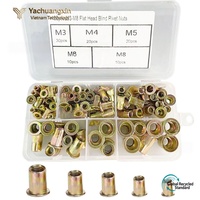 Lot de 100 rivets aveugles à tête plate M3 M4 M5 M8 en acier zingué – Assortiment