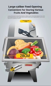 เครื่องหั่นผักสแตนเลส 380V แบบหั่นชิ้นเดียวสำหรับโรงงานแปรรูปผัก - Product Image 4