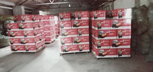 Pulvérisateur à essence <span class=keywords><strong>Solo</strong></span> 423 de haute qualité, 12L, 3kW, pulvérisateur à dos pour vente en promotion - Product Image 6