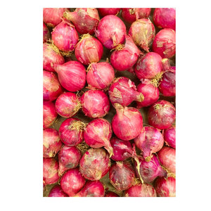 Deliciosa cebolla roja fresca de 5-8cm, cebolla de alta calidad, precio de fábrica, 10kg, exportador a granel, cebolla roja congelada - Product Image 1