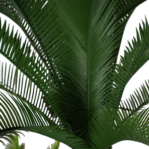 ต้นไซคาส รีโวลูต้า ประดิษฐ์จากพลาสติก ต้นไม้และพุ่มไม้บอนไซ ตกแต่งภายในและภายนอก ทนทานต่อการสัมผัสของน้ำ - Product Image 3