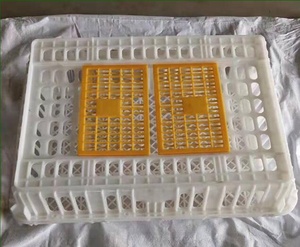 Multifonctionnel Portable Double Porte Conception <span class=keywords><strong>de</strong></span> Ferme <span class=keywords><strong>de</strong></span> Volaille Cage <span class=keywords><strong>de</strong></span> Transport En Plastique Poulets Vivants Transport Cage Caisse À Vendre - Product Image 6