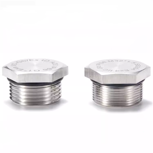 Tappo filettato in acciaio inossidabile 304 316 con superficie liscia, <span class=keywords><strong>vite</strong></span> esagonale esterna, copertura impermeabile IP68 antipolvere con guarnizione in gomma per uso industriale - Product Image 3