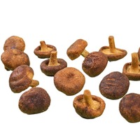 Deliciosos Bocadillos Salados de Champiñones Shiitake Fritos con Textura Firme, Empacados en Bolsa, Delicioso Snack de Frutas y Verduras