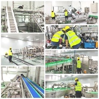 Robot de palettisation haute vitesse LWT pour les pretzels en boîte, les chips de maïs, les biscuits fins et les pop-corn, ligne d'emballage pour les aliments en conserve