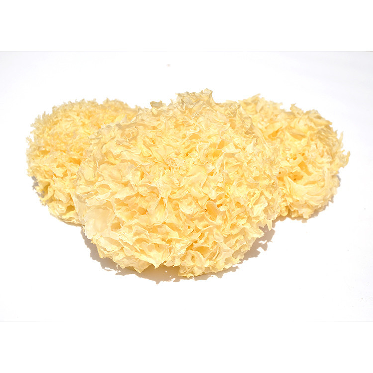 Wholesale Premium Grade Dried Tremella Mushroom Organic White Jelly Fungus