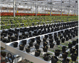 Tùy Chỉnh Màu Đen Trắng Abs Hips Nhà Kính Nông Nghiệp Nhựa Di Động Cán Băng Ghế Dự Bị Phát Triển Bảng Hydroponics Hệ Thống - Product Image 3