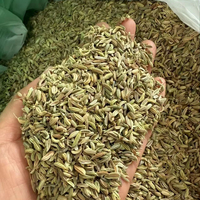 Biji Adas Hijau Grosir Foeniculum Vulgare Aroma Manis Kering Utuh Untuk Memasak Bahan Kue Rempah-Rempah Pasokan Massal