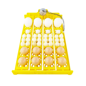 Incubateur entièrement <span class=keywords><strong>automatique</strong></span> compact, <span class=keywords><strong>fiable</strong></span> et durable pour œufs de poule, de canard et de caille, avec plateaux en PP - Product Image 5