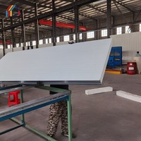 100mm eps/mousse/panneau sandwich en polystyrène pour matériaux de construction