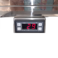 Table d'opération électrique pour animaux de compagnie EURVET de haute qualité, en acier inoxydable 304, équipement chirurgical vétérinaire, chauffage thermostatique