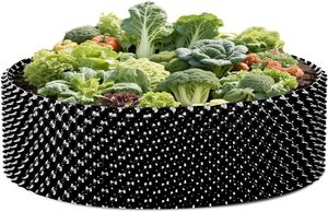 Pot de taille racinaire personnalisé en plastique pour myrtilles – Conteneur de croissance rapide pour plantes - Product Image 5