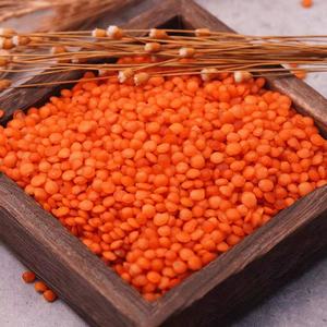 Organik kırmızı mercimek kurutulmuş Chana Dal ve yeşil mercimek gıda kullanımı toplu torbalarda paketlenmiş - Product Image 6