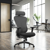 Chaise de bureau ergonomique moderne en maille pivotante pour direction Appui-tête réglable Support lombaire à réglage automatique Certifié Classe-3 Gas Lift