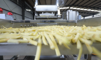 Frieten Snijmachine Aardappel Snijden Apparatuur Strips Snijmachine