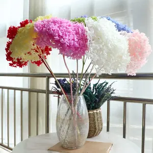 Most Popular Preserved Anna White Hydrangea Stem Real Touch For DIY Floral All Kinds of Event Decor Shop Flower