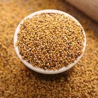 Yulin Spice vente en gros de graines de moutarde jaune sèche en vrac graines de moutarde alimentaire à grains crus naturels