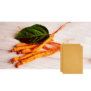 OEM ODM Pansements pour douleurs musculaires au ginseng rouge Patch corporel au ginseng rouge Tampons de ginseng rouge à base de plantes