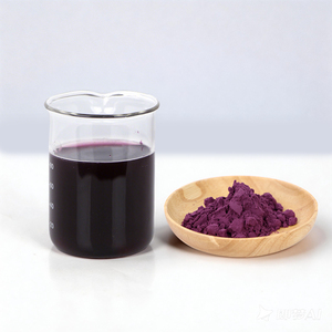 AMULYN Estratto Erboristico Idrosolubile di Grado Alimentare, Polvere di Bacche di Acai Liofilizzata Naturale (Contenitore in Plastica, Bottiglia, Fusto) Halal - Product Image 2