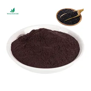 黒米種子エキスアントシアニン黒米エキスサプリメント