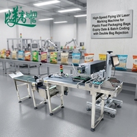 Machine de marquage laser UV à grande vitesse pour sacs d'emballage alimentaire en plastique, codage de la date de péremption et de la loterie avec double rejet de sacs