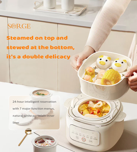 Cuisinière électrique intelligente programmable de 1 litre avec fonction vapeur - Product Image 2