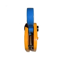 Pince de levage horizontale pour plaques d'acier 1T 2T 3T 5T 8T 10T