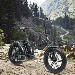 Vélo électrique JLM E14 48V avec moteur sans balais, 14 pouces, ultra-léger, petit, pliable, portable, 350W, IPX5, batterie au lithium sans balais à l'avant - Product Image 6