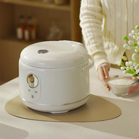 Cuiseur à riz multifonctionnel intelligent à écran tactile de haute qualité Cuiseur à riz à double pot