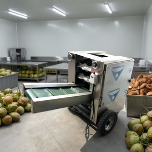 Machine de traitement et d'extraction des fibres de coco / Machine de défibrage et de broyage du coco - Product Image 2