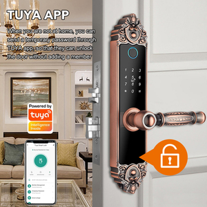 Serrure de porte intelligente de luxe pour villa européenne, application Tuya, lecteur d'empreintes digitales en alliage d'aluminium, serrure numérique pour porte en bois - Product Image 4