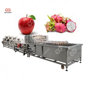 Fruit And Vegetable Processing Equipment Spinach Dragon Fruit Washing Machine Conveyor Belt Fruit Washer And Dryer