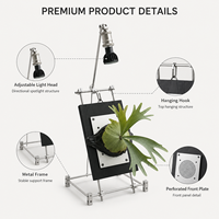Soporte de pared para exhibición de helecho de cuerno de ciervo con luz de cultivo, soporte de exhibición de plantas hecho a medida
