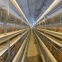 Élevage de volaille de Type H 3 niveaux, 4 niveaux, couche d'œufs, nouveau Design moderne, Cage de batterie de poulet