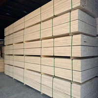 Meistverkauftes Pappel-Birken-LVL-Sperrholz E0 Birkenfurnier für Schalungen Holzpaletten Türkerne Bettlatten Schlafzimmernutzung