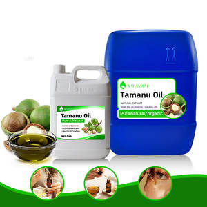 Tamanu-Öl Fabrik Kaltgepresstes Trägeröl Bio <span class=keywords><strong>Tahiti</strong></span> Grünes Tamanu-Samenöl für Hautpflege - Product Image 6