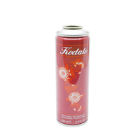 Kaleng Aerosol Kosong 150ml/200ml, Kaleng Logam Busa Besi Tinplate untuk Penggunaan Rambut/Tubuh/Parfum/Kosmetik/Cat/Kimia