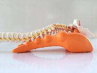 Oreiller ergonomique à point de pression pour thérapie d'acupression avec mousse à mémoire de forme et design de contour réglable