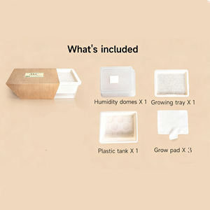 ชุดปลูกต้นไม้ไมโครกรีนส์ถาดปลูกต้นไม้พร้อมฝาปิดชุดเพาะต้นอ่อนวัสดุ PP - Product Image 5