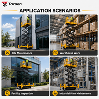Plataforma Elevadora de Tijera Autopropulsada Torsen OEM ODM de 8-15.8m para Distribuidores e Importadores