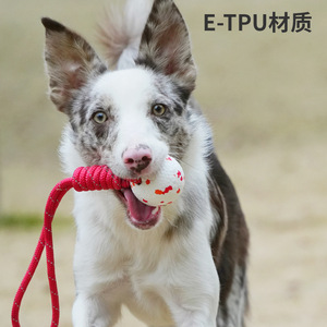 ลูกบอลเชือกสำหรับสุนัข วัสดุ E Tpu น้ำหนักเบา ทนทาน ทนต่อการกัด ของเล่นเคี้ยวสำหรับสัตว์เลี้ยง สำหรับฝึก ขนาดกลาง - Product Image 3