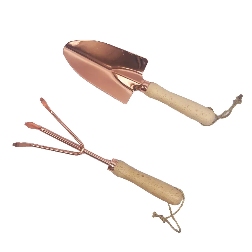 Kit de jardinage Mini pelle à main en métal et râteau avec manche en bois outils de jardin en or Rose 2 pièces