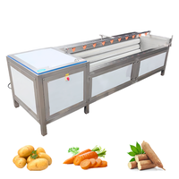 Machine à laver les fruits et légumes, machine à laver les légumes, machine à éplucher les pommes de terre, machine à peler les pommes de terre
