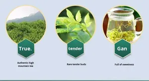 ชาเขียวธรรมชาติ 100% ที่มีฟลาโวนอยด์สูง ชาผลเบอร์รี่จางเจียเจี๋ย - Product Image 3