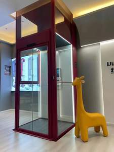 איכות הטובה ביותר 400 ק "ג 2-4 אדם מעלית בית וילה מעלית בית עם מחיר המפעל - Product Image 3