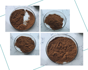 Chăm sóc sức khỏe nguyên liệu nấm bột 10%-50% polysaccharides <span class=keywords><strong>sparassis</strong></span> <span class=keywords><strong>crispa</strong></span> chiết xuất - Product Image 6