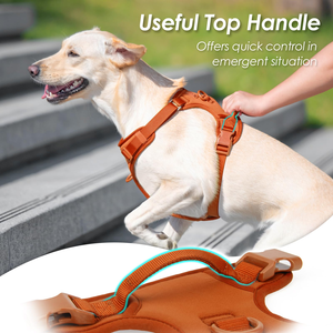 Factory In-stock Solid Nylon PVC Waterproof Pet <b>Chest</b> Strap Dog for Medium and Large Dogs - Product Image 4