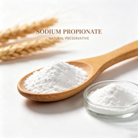 Poudre de propionate de sodium de qualité alimentaire CAS137-40-6 E281, certifiée casher et halal, conservateur alimentaire, sac de 25 kg en vrac, fourni par l'usine