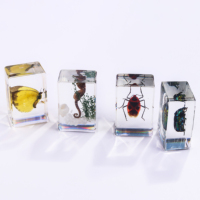 Presse-papiers transparents faits à la main avec spécimens d'insectes, scorpions et autres insectes en résine pour exposition scientifique